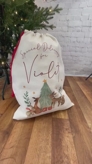 Personalised Christmas Sack - Personalised Family Christmas Sacks - Personalised Christmas Toy Sack - Personalised Christmas Decorations