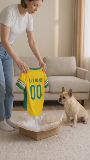 Brazil Dog T-Shirt Jersey Style Custom Name and Number Pet Clothes Gifts f73a8cca-1e29-4e4e-b76b-a063f68aad84-PSL1777950052647966-converted.mp4