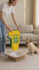 Brazil Dog T-Shirt Jersey Style Custom Name and Number Pet Clothes Gifts f73a8cca-1e29-4e4e-b76b-a063f68aad84-PSL1777950052647966-converted.mp4