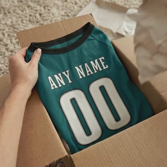 Philadelphia Dog T-Shirt Jersey Style Pet Clothes Custom Name and Number Gifts 0a29060d-7883-49d7-b992-6ab712862c8f-PSL1759215727872146-converted.mp4