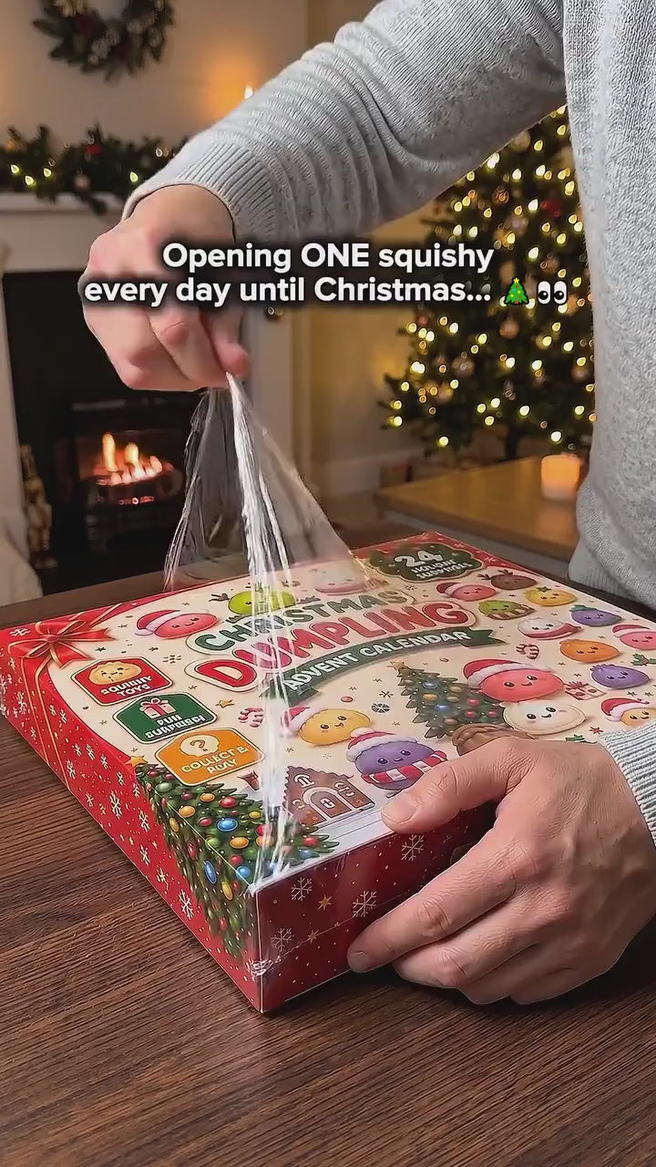 Dumpling Squishy Advent Calendar, 24 Day Christmas Countdown, Mini Squishy Fidget Toys, Kids Christmas Gift, Stocking Stuffer, Holiday Gift 17ec64c3-25b7-44d7-b569-b87692db12c8-xcxcxcxccxcx.mp4