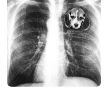 X-ray Of My Heart T shirt Cat Dog Custom Your Own X-ray Photo is In My Heart Funny T shirt Personalized Gift For Dog Mom Cat Mom Dog Dad Cat Dad