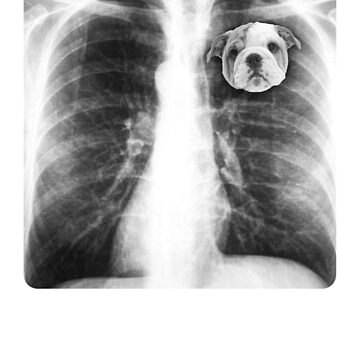 X-ray Of My Heart T shirt Cat Dog Custom Your Own X-ray Photo is In My Heart Funny T shirt Personalized Gift For Dog Mom Cat Mom Dog Dad Cat Dad