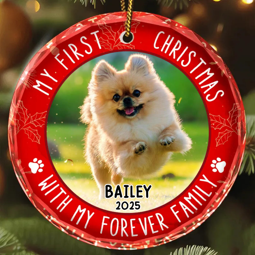 First Christmas With Family - Personalized Crystal Ornament - Gift For Pet Lovers