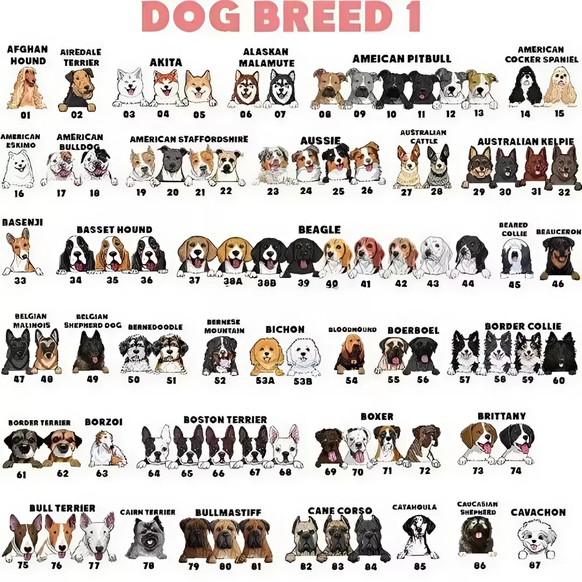 Pocket Custom T Shirts, Halloween Pumpkin, Personalized Gifts for Dog Lovers