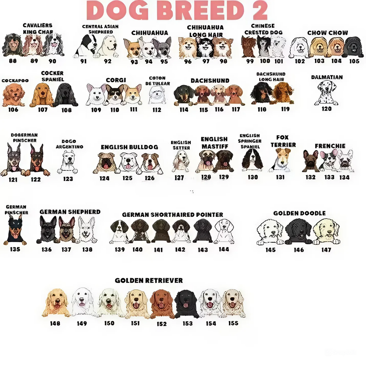 Never Mind The Witch, Personalized Garden Flags, Halloween Decoration For Dog Lovers