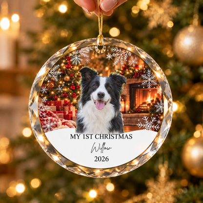 Dog First Christmas crystal ornament — Willow 2026, hand-held lifestyle scene
