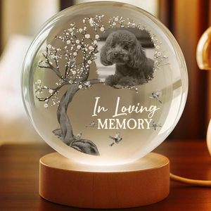 Custom Photo When You Miss Me - Personalized Crystal Globe Lamp t_ixu_ng_31_e8bf3114-ee07-4100-b66d-6aefc90a7b43.png