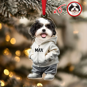 Custom Face Pet - Personalized Acrylic Ornament t_ixu_ng_49.png