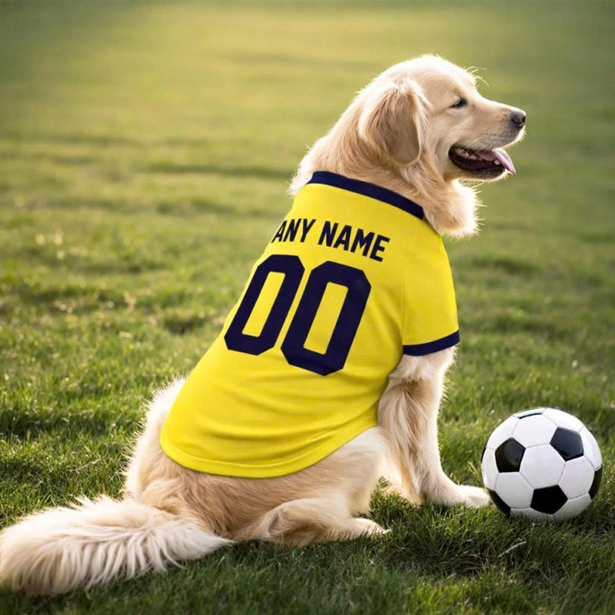 Nashville Soccer Dog T-Shirt Pet Clothes Jersey for Dogs Custom Name and Number Gifts Soccer Fan Gift, Pet Jersey