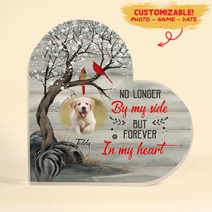 Dog Death Acrylic Plaque Memorial Gift - No Longer By My Side But Forever In My Heart - Gifts For Dog Bereavement