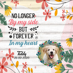 Loss Of Dog Memorial Acrylic Plaque Gift - Forever In My Heart - Memorabilia For Deceased Dog