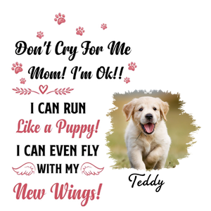 Memorial For Dog Acrylic Plaque - Don'T Cry For Me Mom - In Memory Dog Gifts